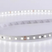 LED стрічка 120-2835-12V-IP20, 8.4W, 6500K, CRI95