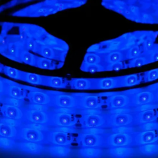 Світлодіодна стрічка TOKiO ST-12-2835-60-B-65 синя, герметична